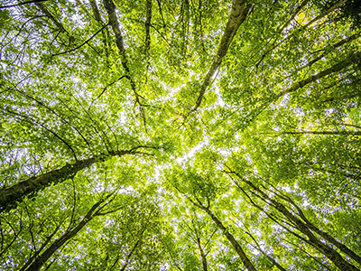 Environnement : nos propositions concrètes